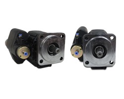 Gear Pumps with integrated valve